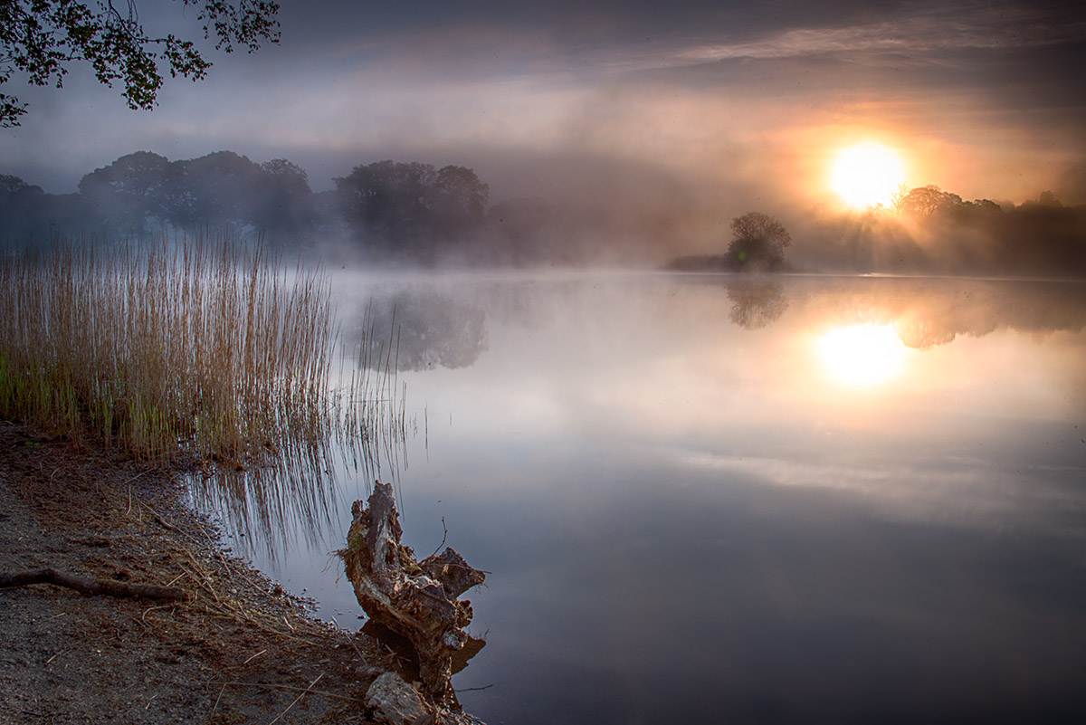 Foggy Dawn