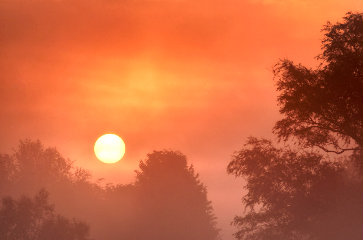 Red Dawn