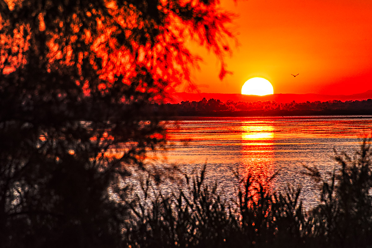 Camargue Sunset