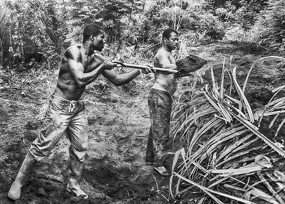 Charcoal Warriors 2