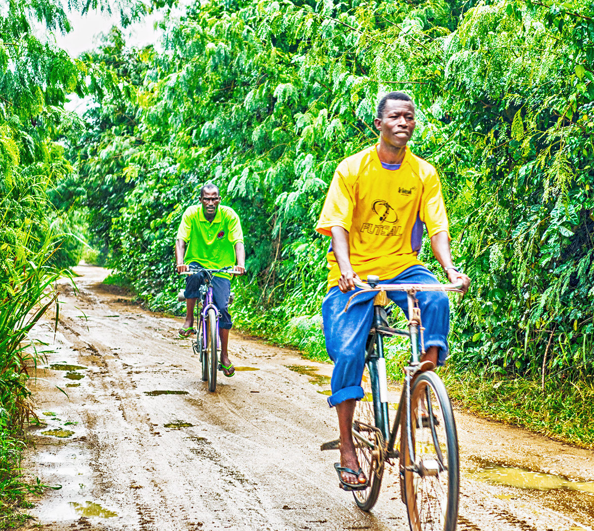 Mud Road - Wet Season