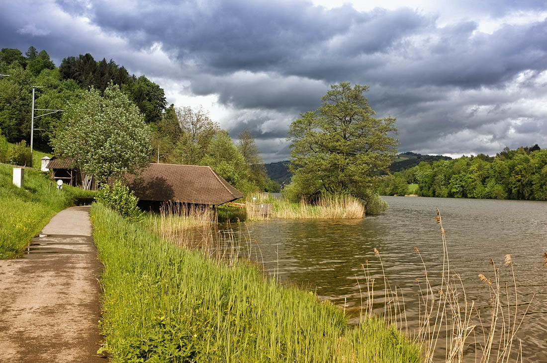 Rotsee after rain