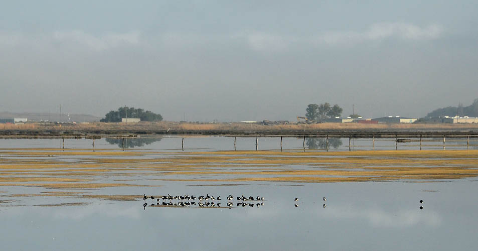 Calm Water and Stilts