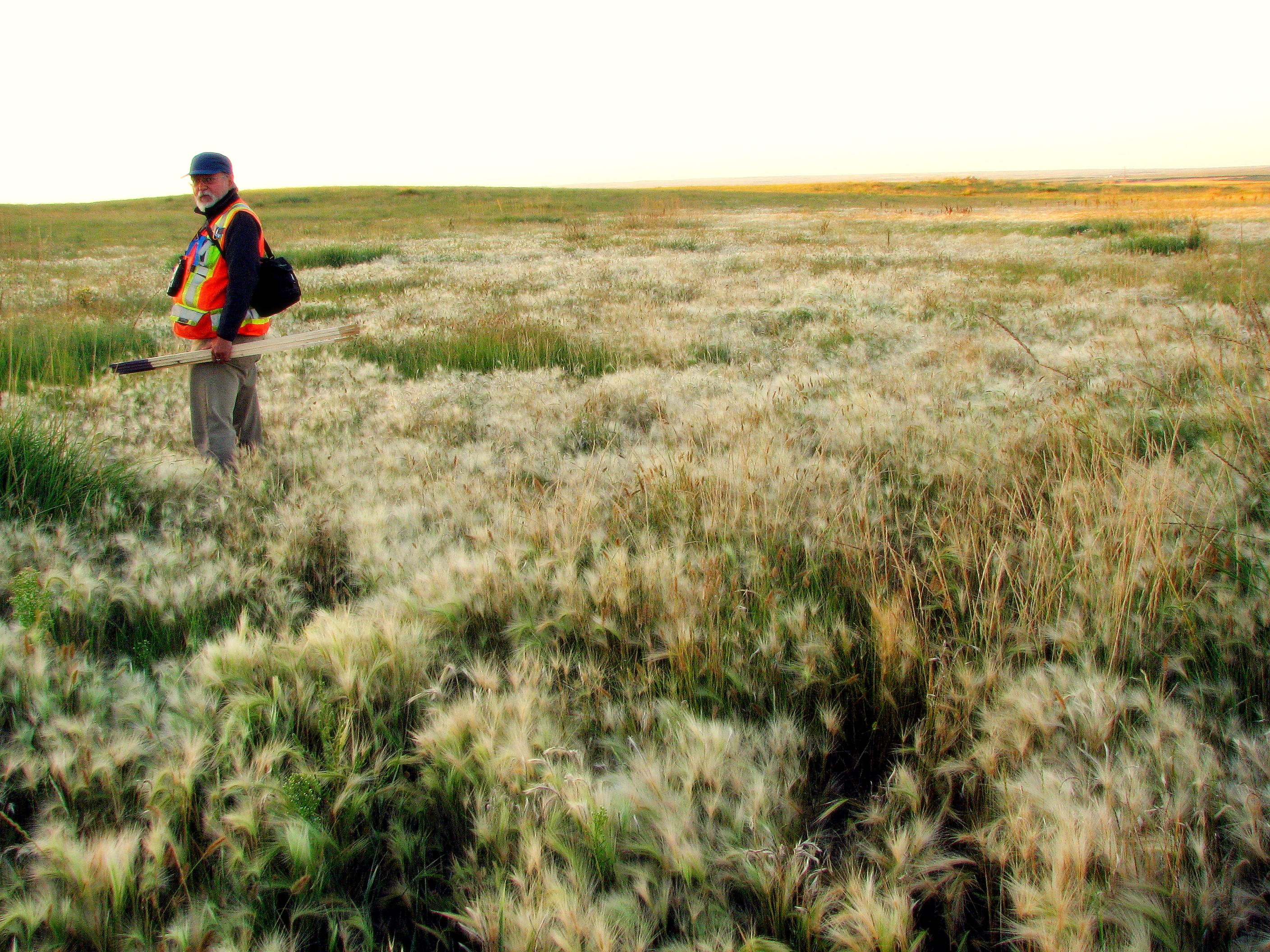 FIELD WORK SASKATCHEWAN 2013.JPG