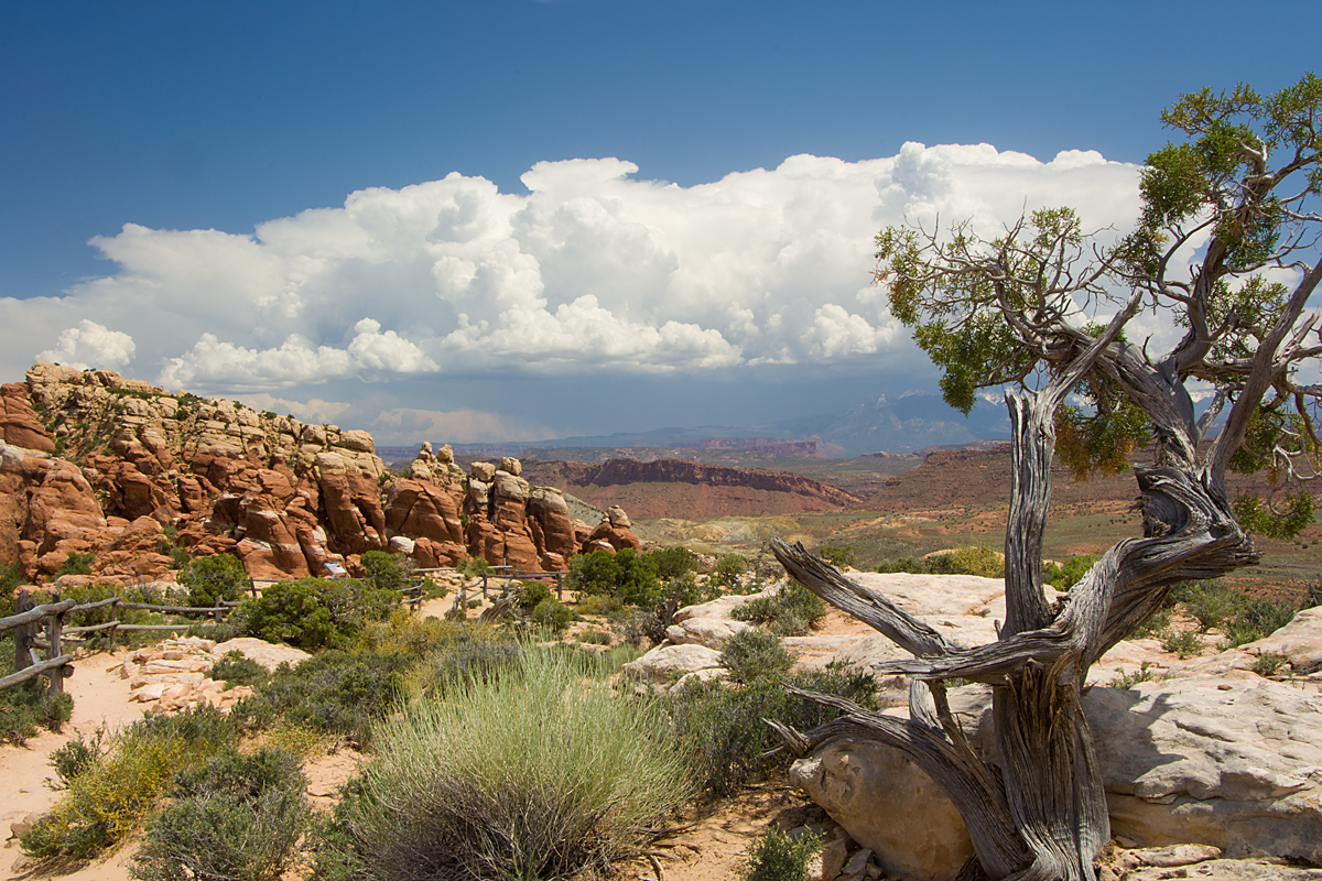 FIERY FURNACE