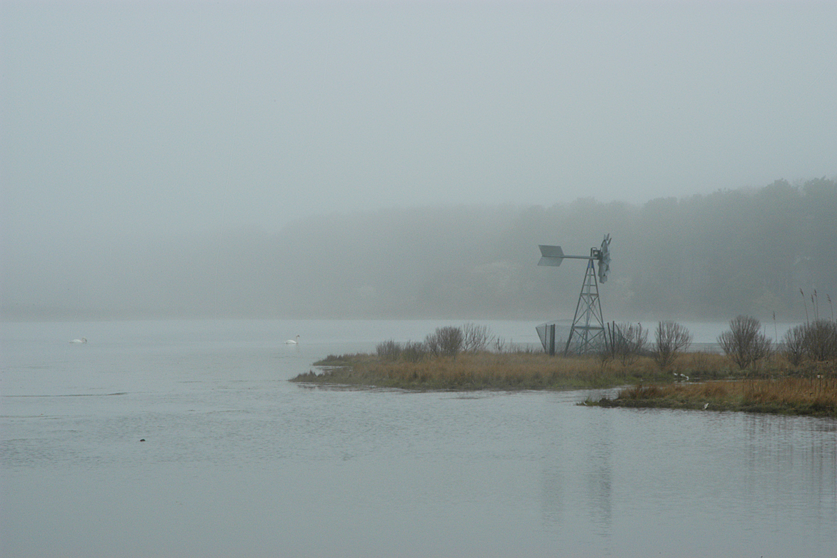 CAPE COD, MASS.