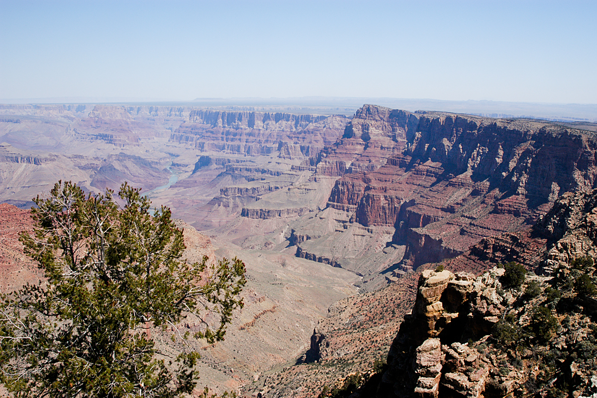 GRAND CANYON