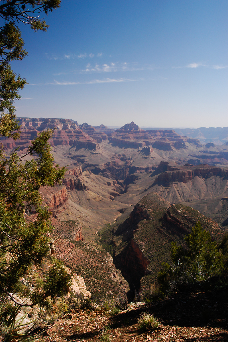 GRAND CANYON