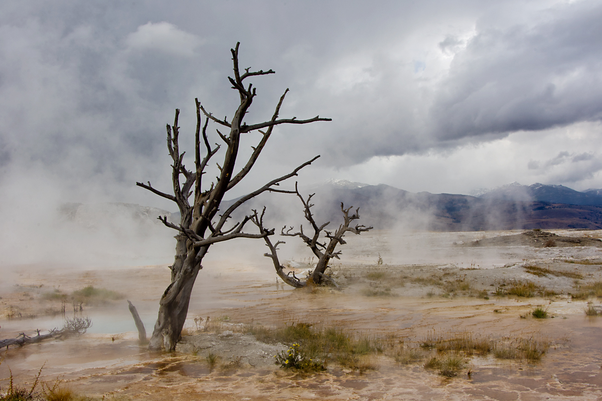 MAMMOTH HOT SPRINGS