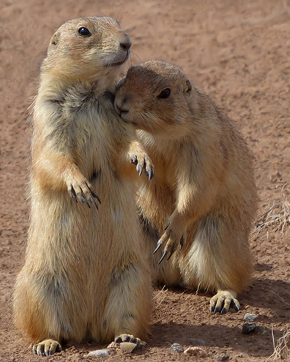 Lean On Me