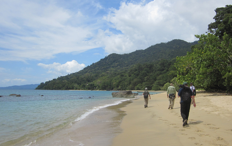 Birding at Masoala National Park 