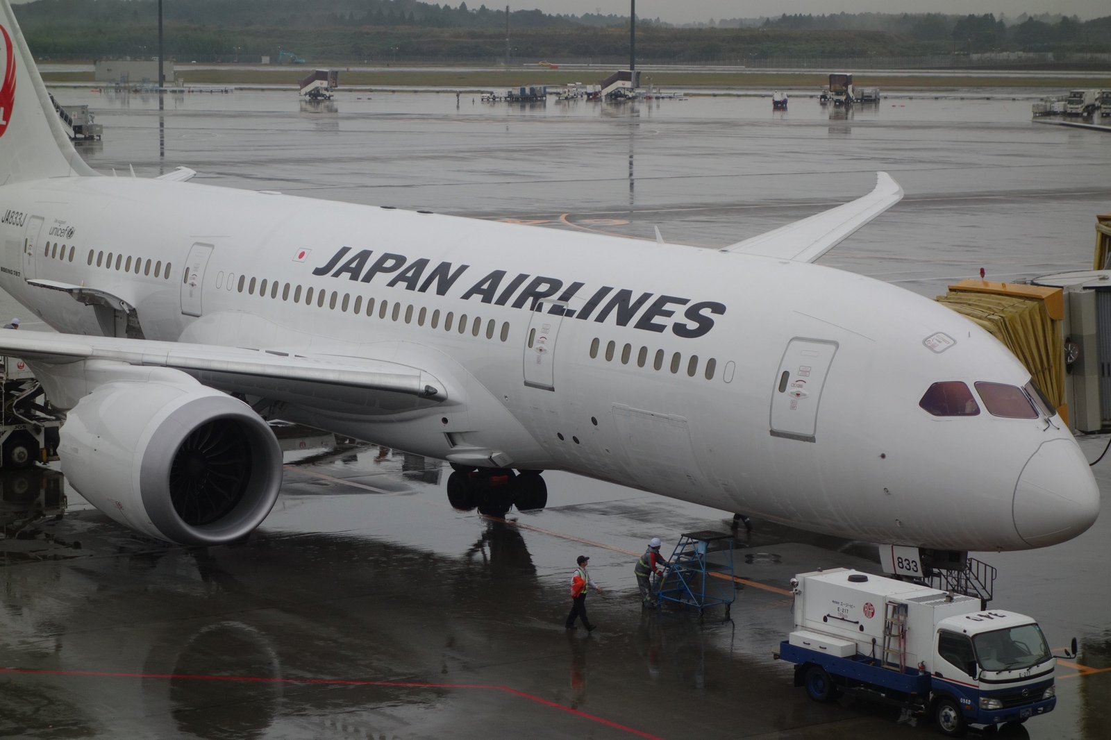 Japan Airlines 787