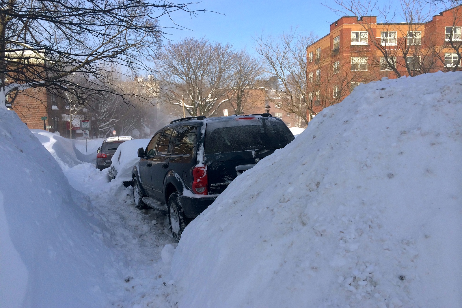 Snow mounds higher than cars