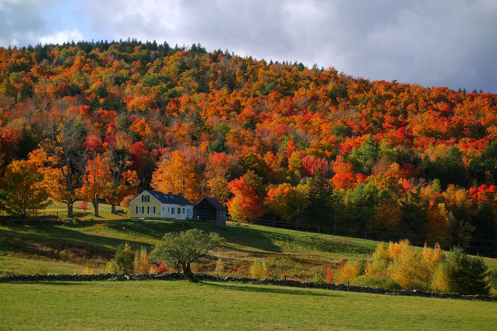 Full color in Marlboro, Vermont