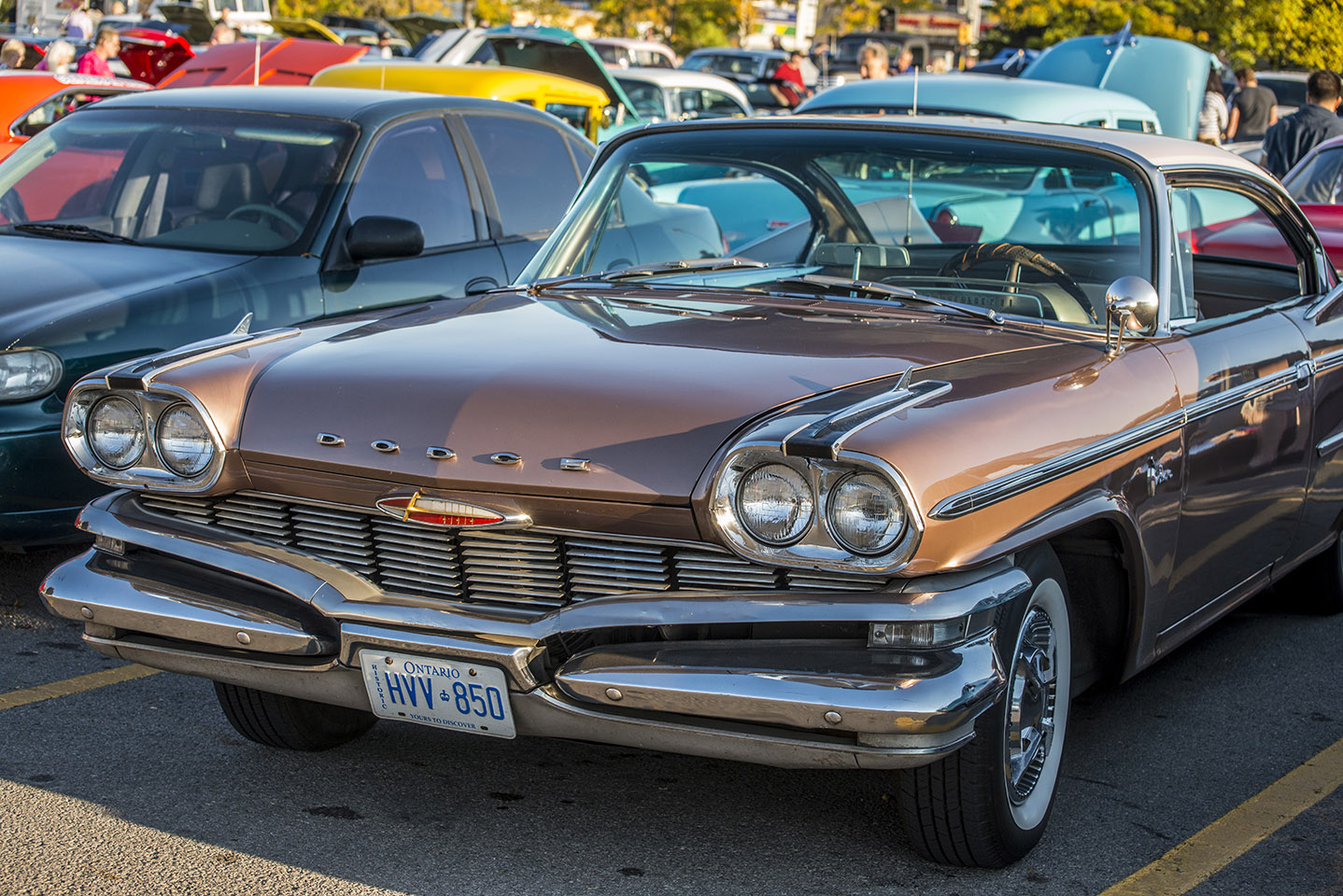 DSC_2533.JPG