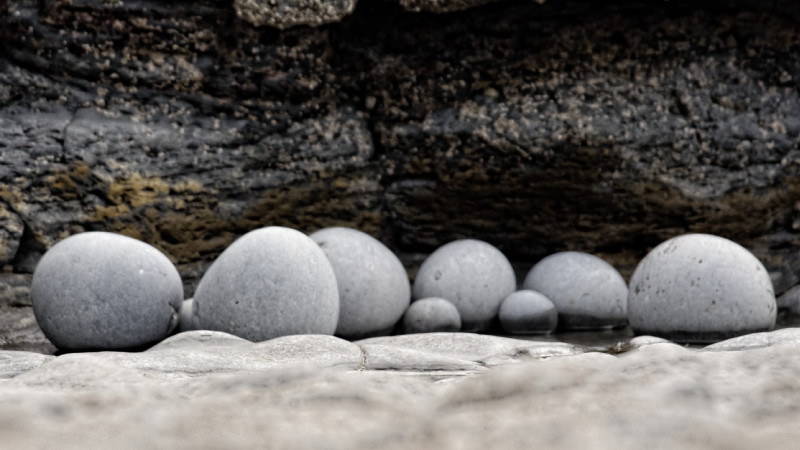 blue lias eggs