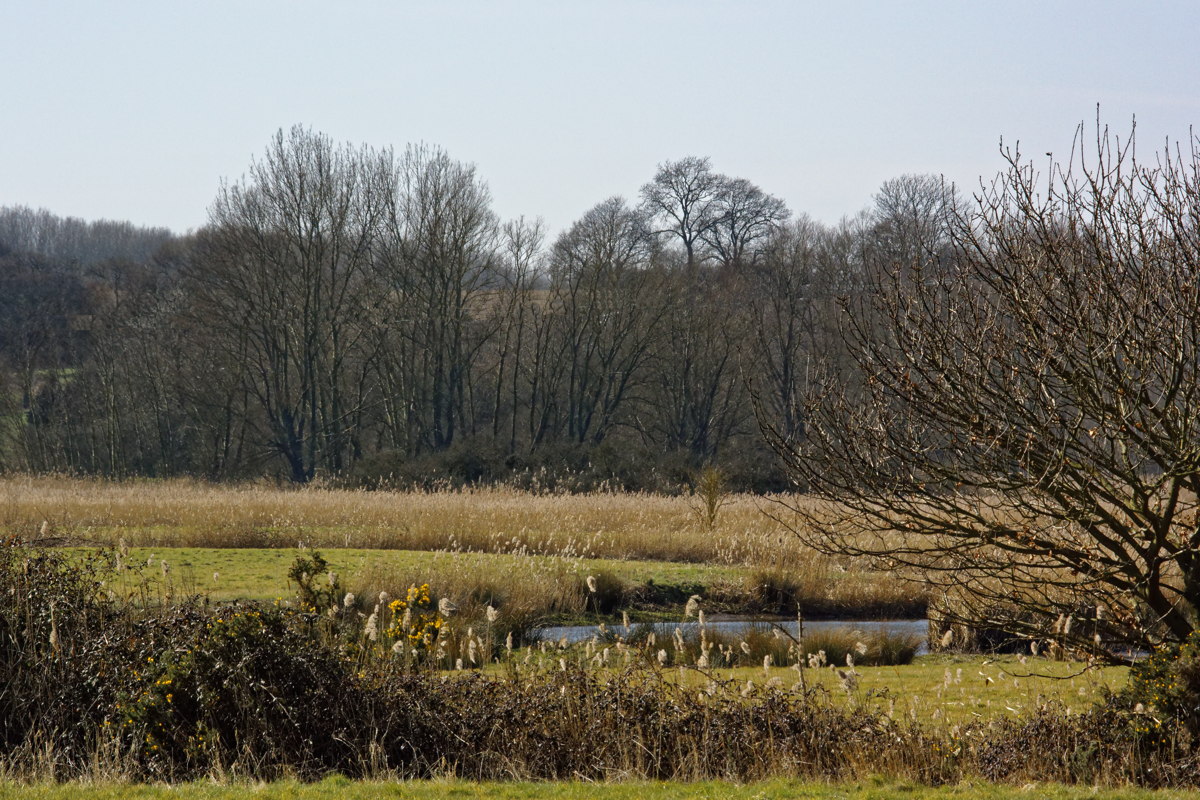 the valley just above Kirton Creek