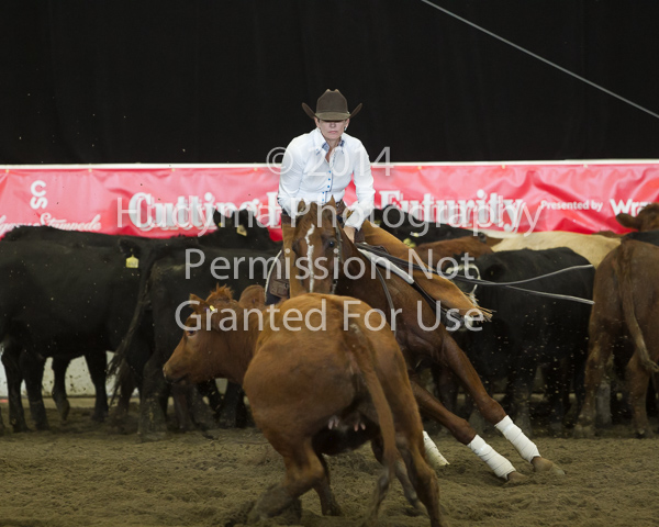 CSF4-05-0185.jpg