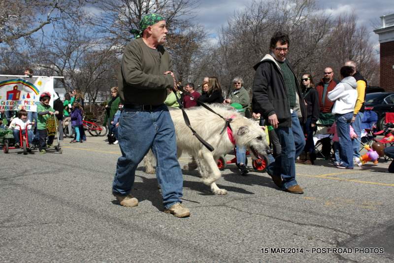 20140315-milford-st-patricks-parade-2014-post-road-photos-image-043.JPG