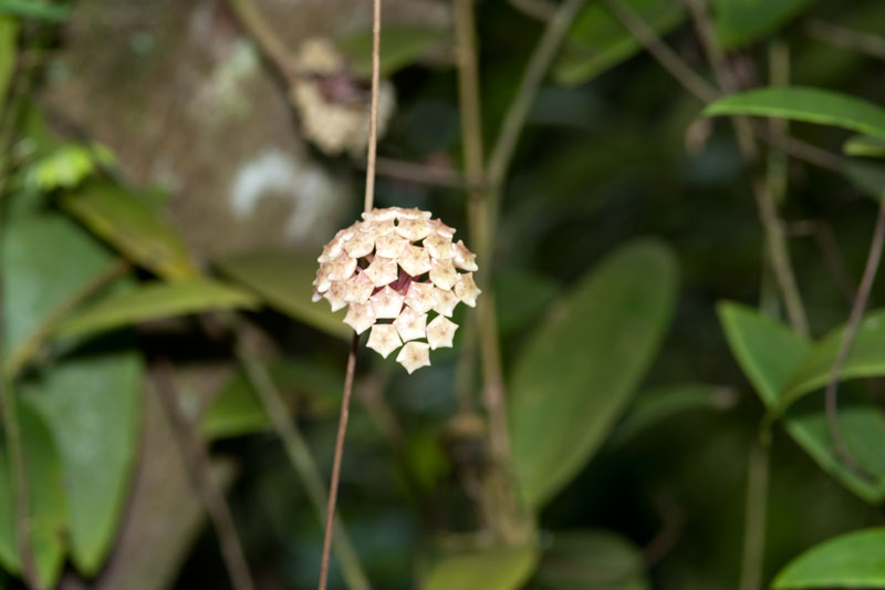 DSC_2230.jpg
