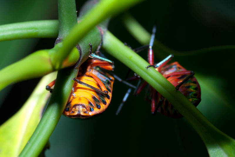 DSC_2241.jpg