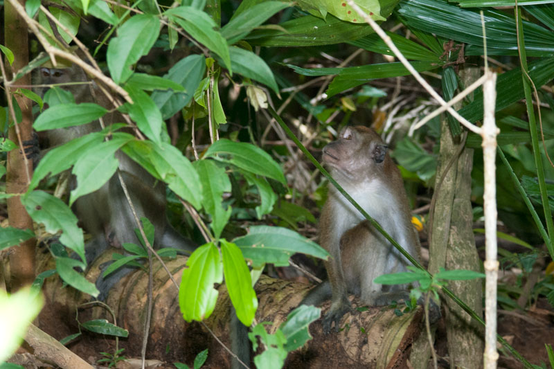 DSC_2246.jpg
