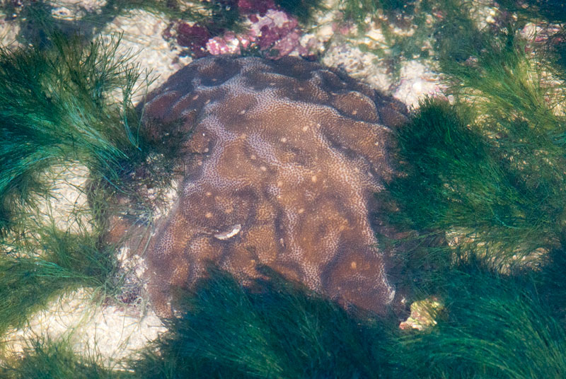DSC_2339.jpg