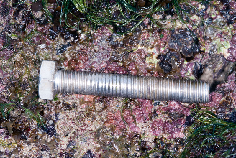 DSC_2352.jpg