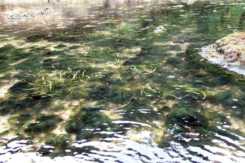 P8101074.jpg