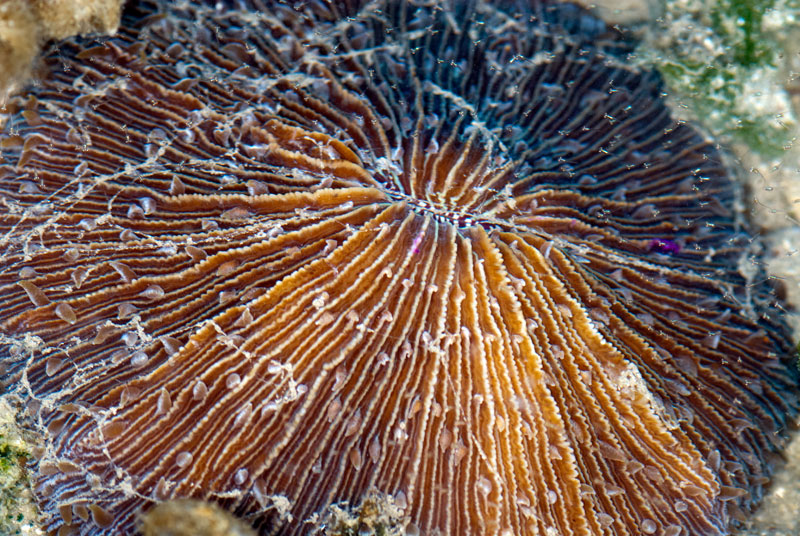 DSC_2653.jpg