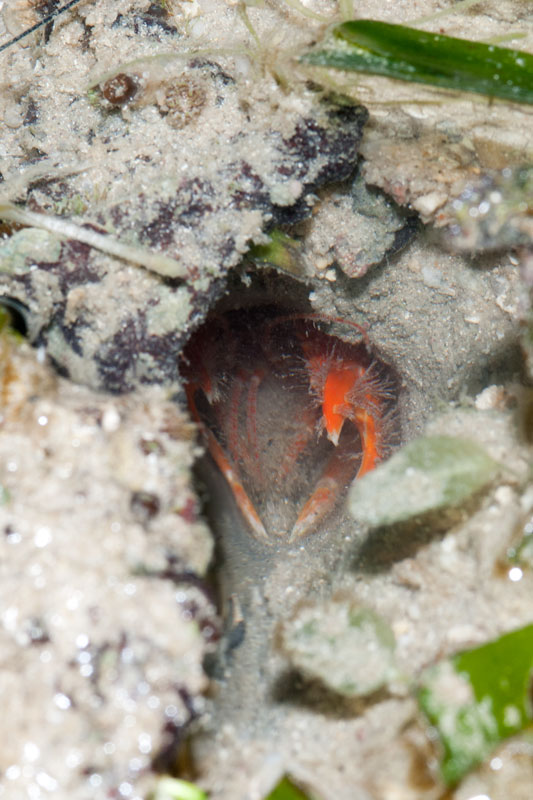 DSC_4298.jpg