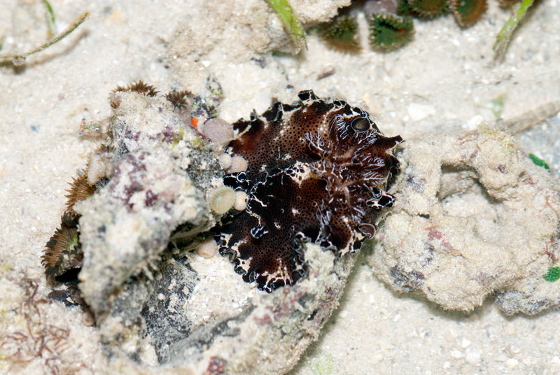 DSC_4301.jpg