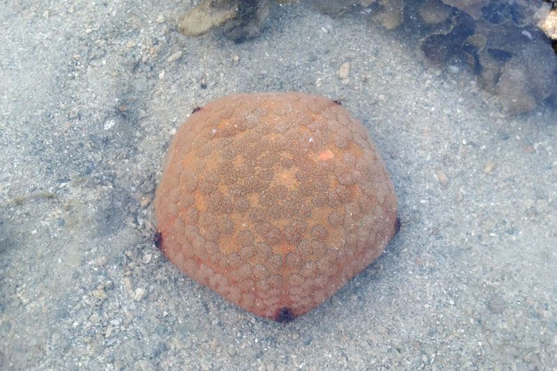 20140713_073139.jpg
