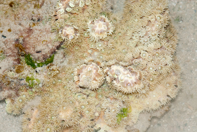 DSC_4345.jpg