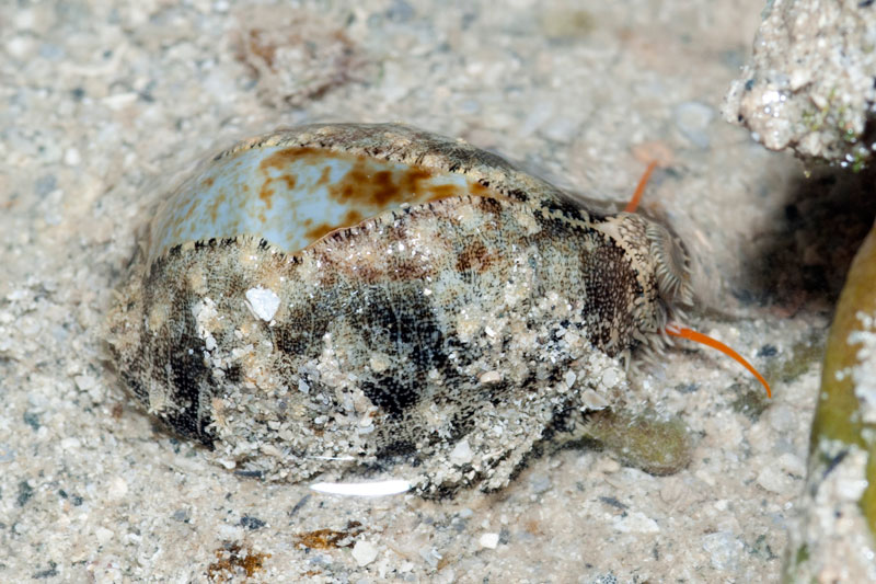 DSC_4348.jpg