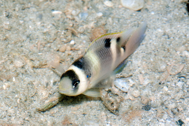 DSC_4353.jpg