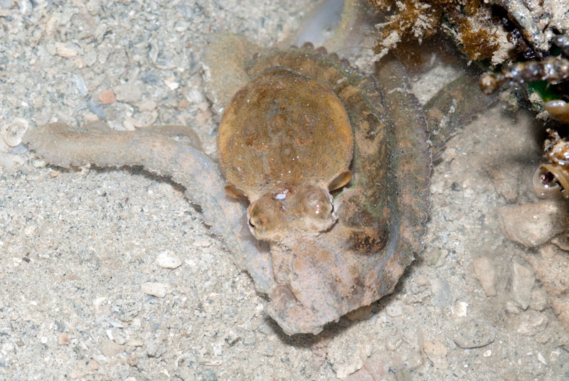 DSC_4359.jpg