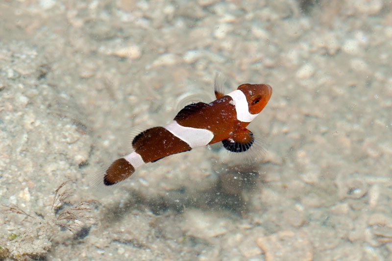 DSC_4367.jpg