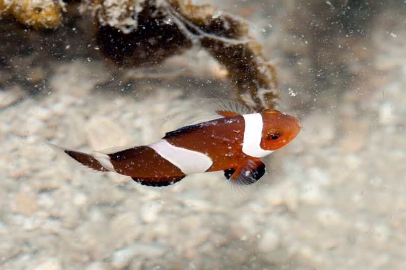 DSC_4368.jpg