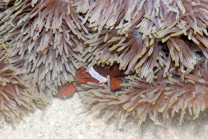 DSC_4379.jpg