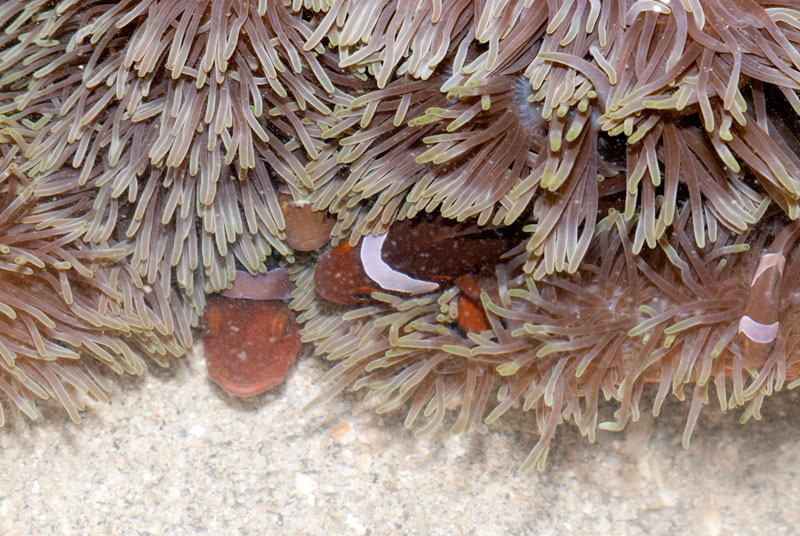 DSC_4380.jpg