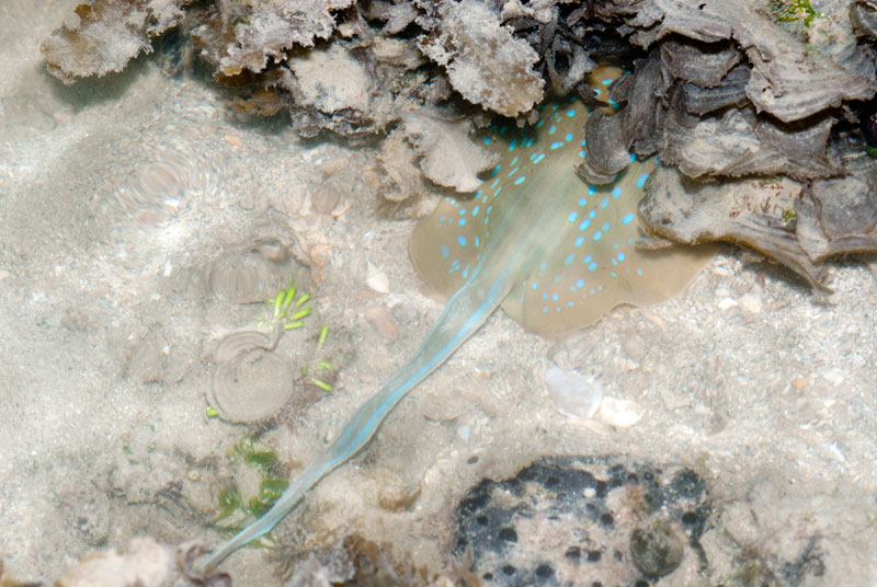 DSC_4410.jpg