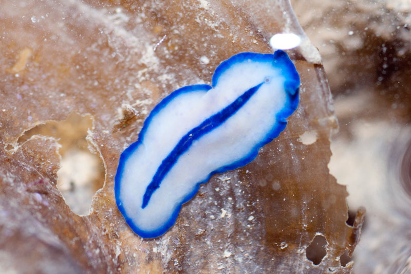 DSC_4429.jpg