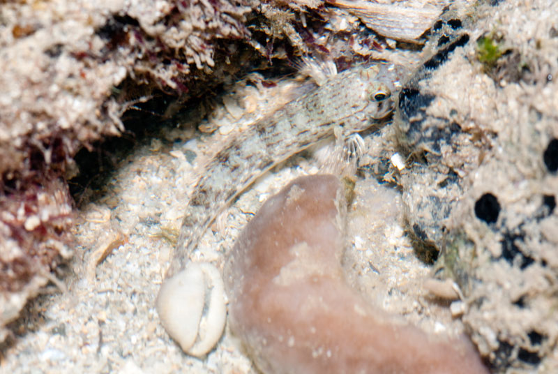 DSC_4435.jpg
