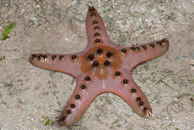 DSC_4491.jpg