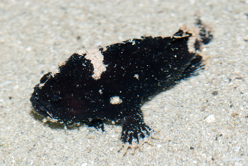 DSC_4547.jpg