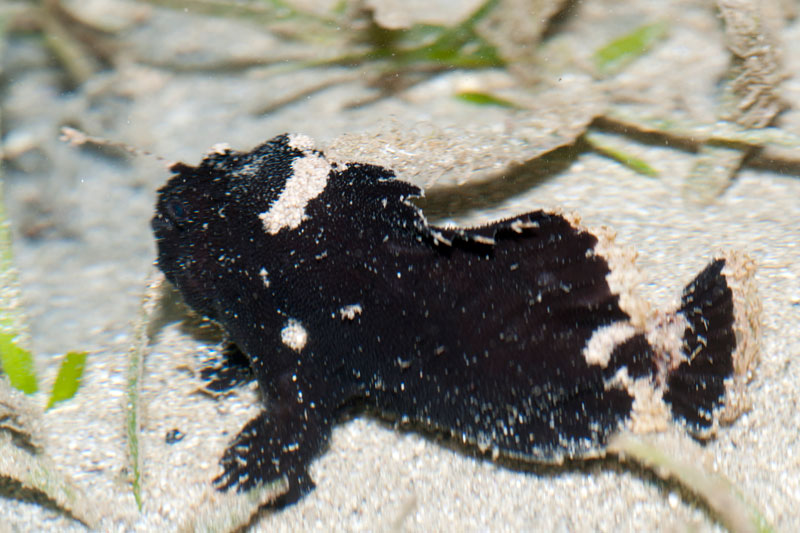 DSC_4549.jpg