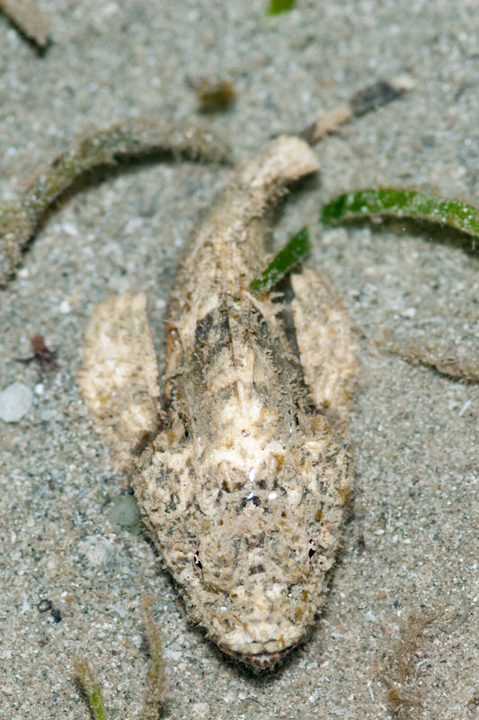 DSC_4552.jpg