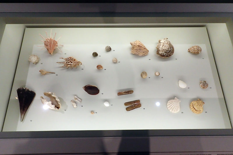 P4260100-copy.jpg