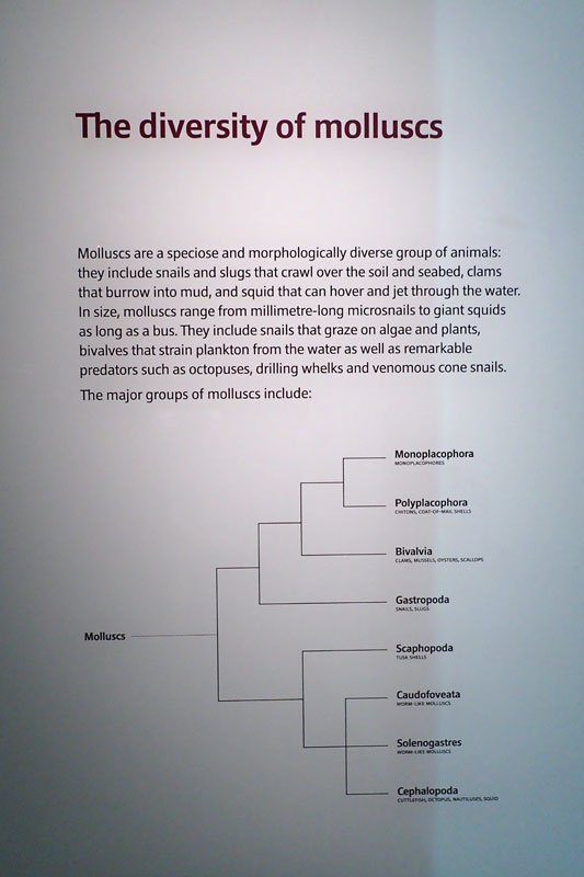 P4260104-copy.jpg